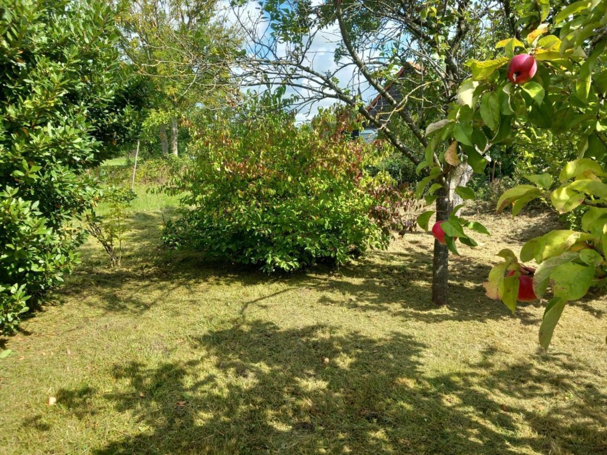 Villa Le Jardin Secret Saint-Omer  Esterno foto